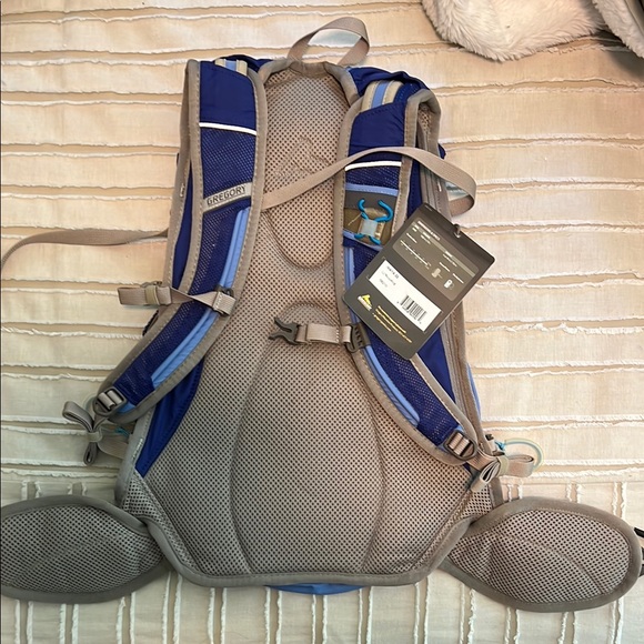 Gregory Blue Outdoor Backpack Streamlined Design - Picture 2 of 3